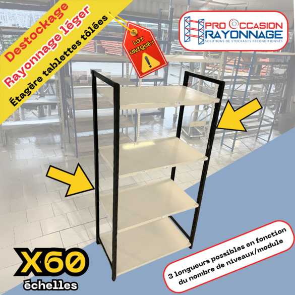 DESTOCKAGE Rayonnage léger - Lot unique de 60 échelles et 100 niveaux tôlés